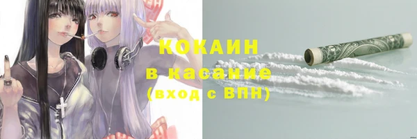хмурый Алексин