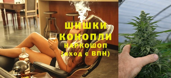 хмурый Алексин