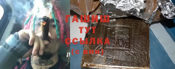 хмурый Алексин