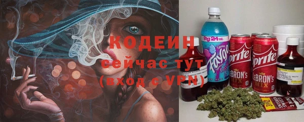 хмурый Алексин
