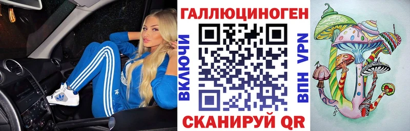 omg зеркало  Сясьстрой  Галлюциногенные грибы GOLDEN TEACHER 
